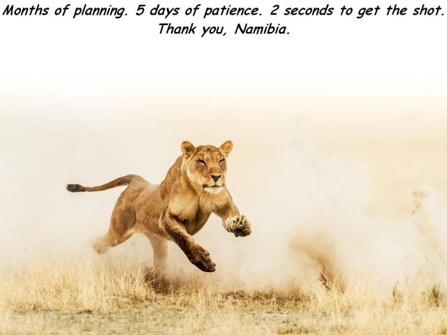 daily picdump 93 pics 3.html - 93 HD Photos | Premium Gallery 2018