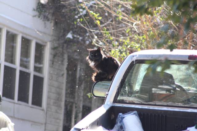 daily picdump 93 pics 3.html - 93 HD Photos | Premium Gallery 2018