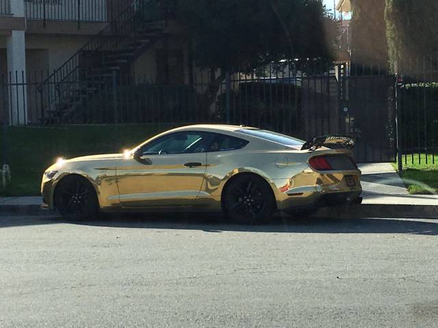 daily picdump 93 pics 3.html - 93 HD Photos | Premium Gallery 2018