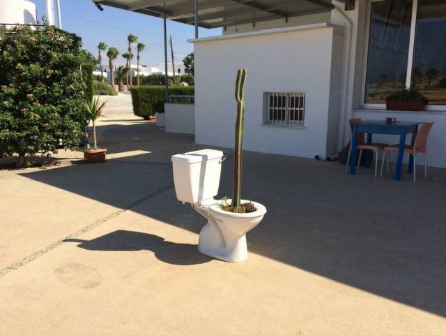 daily picdump 93 pics 3.html - 93 HD Photos | Premium Gallery 2018