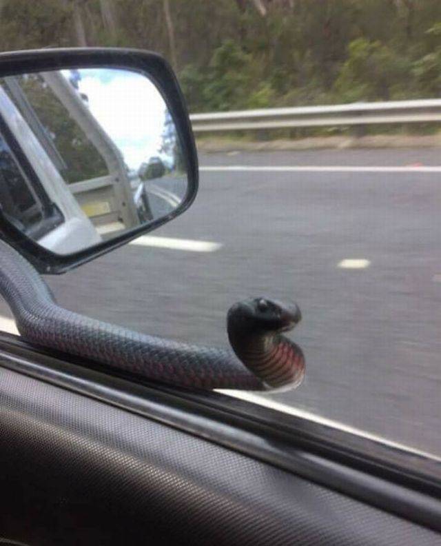 daily picdump 93 pics 3.html - 93 HD Photos | Premium Gallery 2018