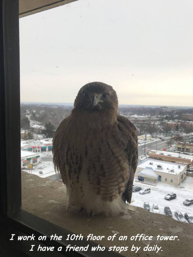 daily picdump 93 pics 3.html - 93 HD Photos | Premium Gallery 2018