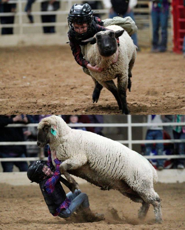 daily picdump 93 pics 3.html - 93 HD Photos | Premium Gallery 2018