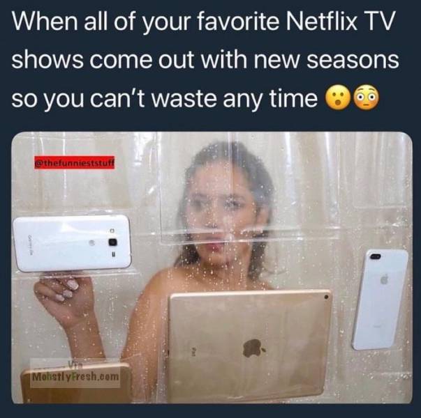 Memes to Amuse Your Tired Mind