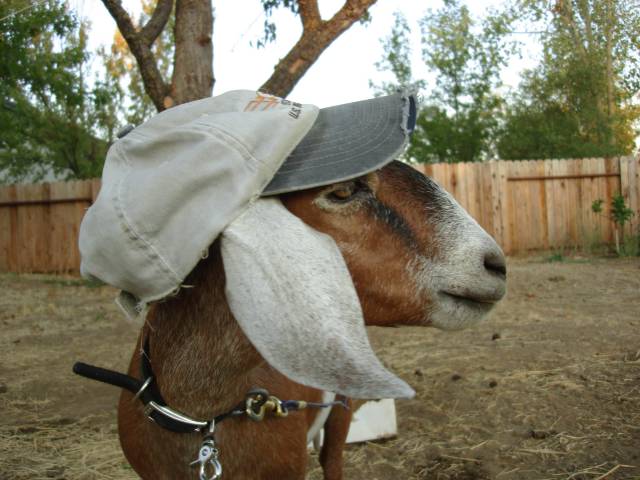 morning picdump 51 pics 9.html - 51 HD Photos | Premium Gallery 2018