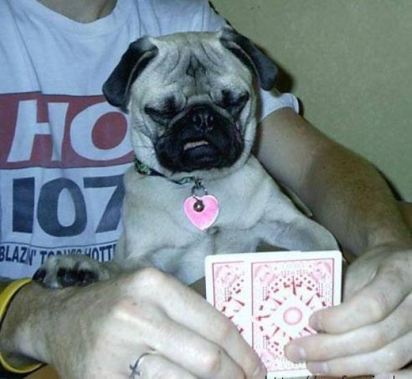 morning picdump 51 pics 9.html - 51 HD Photos | Premium Gallery 2018