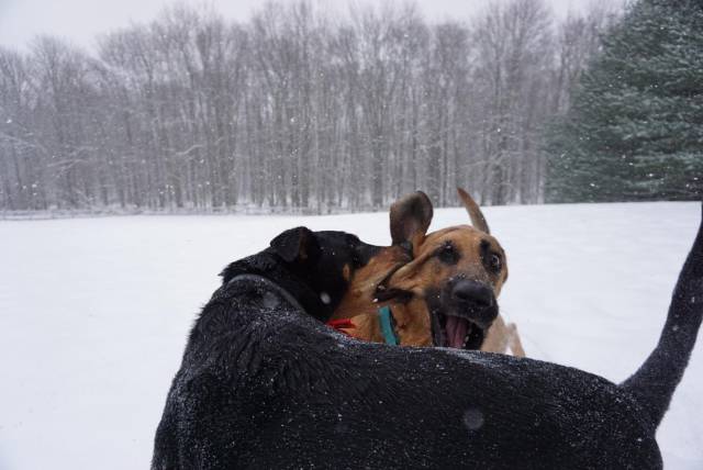 morning picdump 51 pics 9.html - 51 HD Photos | Premium Gallery 2018