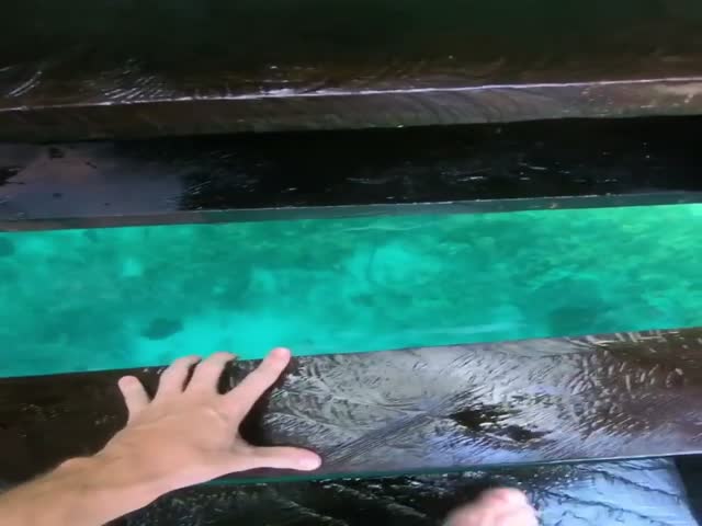 top 50 videos of the year 2018.html - 1 HD Video | Premium Gallery 2018