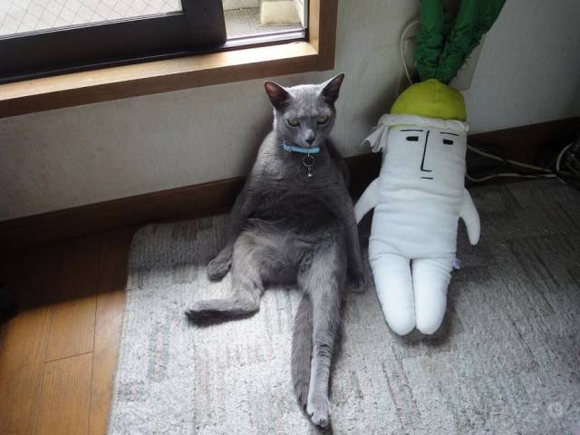 daily picdump 95 pics 3.html - 95 HD Photos | Premium Gallery 2018