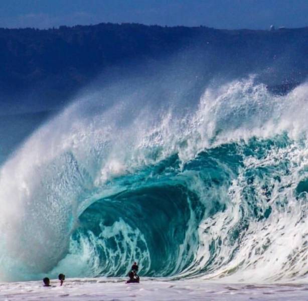 daily picdump 95 pics 3.html - 95 HD Photos | Premium Gallery 2018