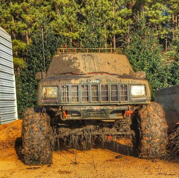 daily picdump 95 pics 3.html - 95 HD Photos | Premium Gallery 2018