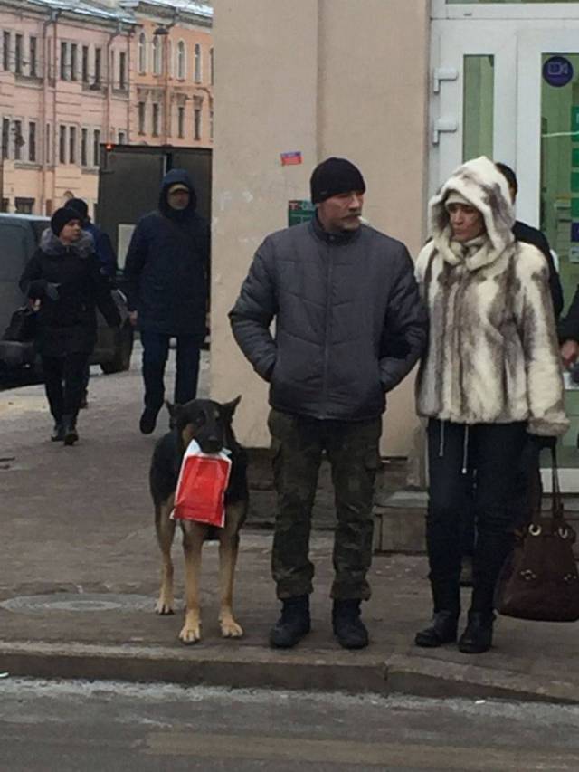 daily picdump 95 pics 3.html - 95 HD Photos | Premium Gallery 2018