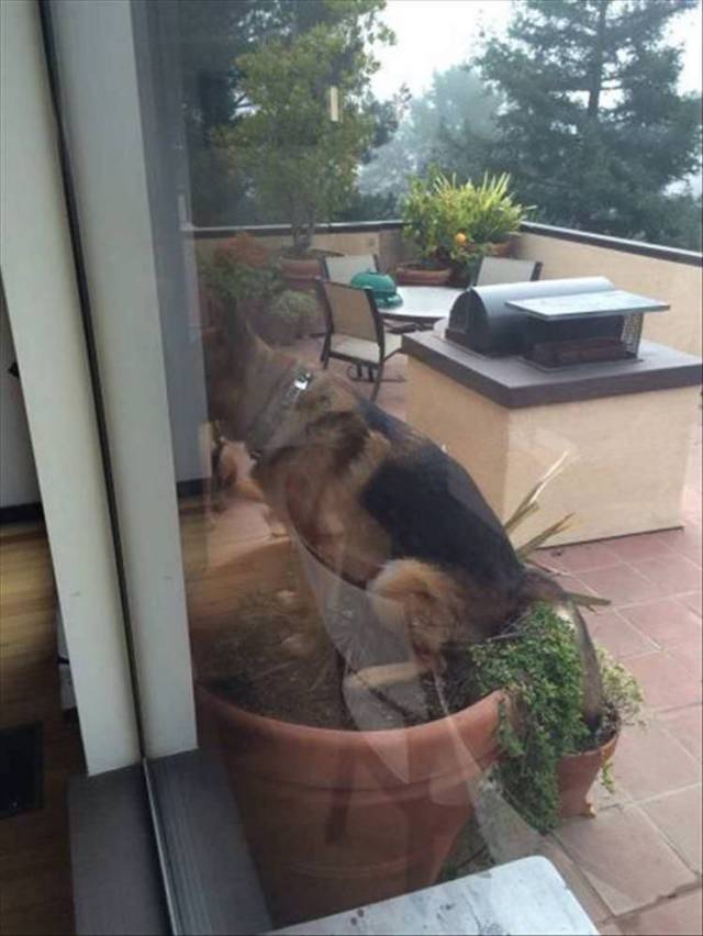 daily picdump 95 pics 3.html - 95 HD Photos | Premium Gallery 2018