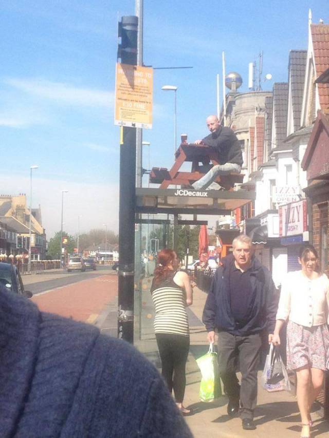 daily picdump 95 pics 3.html - 95 HD Photos | Premium Gallery 2018