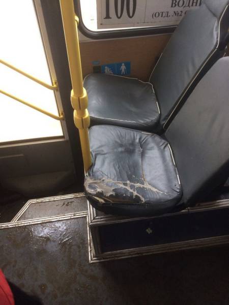 Daily Picdump [WEEKEND EDITION]