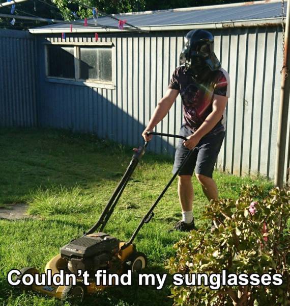 daily picdump weekend edition 51 pics 2.html - 51 HD Photos | Premium Gallery 2018