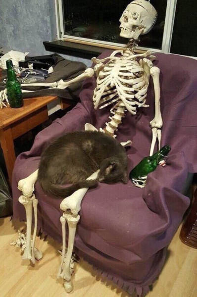 daily picdump weekend edition 51 pics 2.html - 51 HD Photos | Premium Gallery 2018