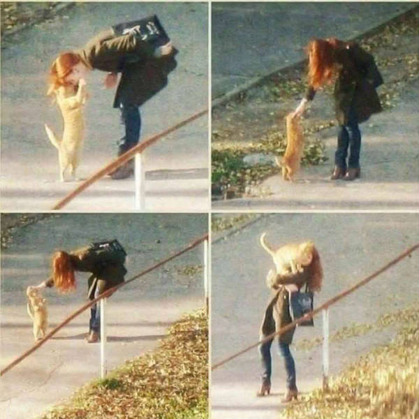 daily picdump weekend edition 51 pics 2.html - 51 HD Photos | Premium Gallery 2018