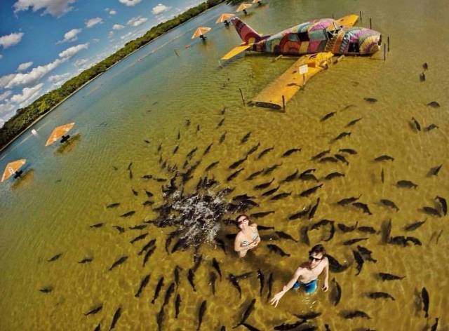 daily picdump 102 pics 3.html - 102 HD Photos | Premium Gallery 2018