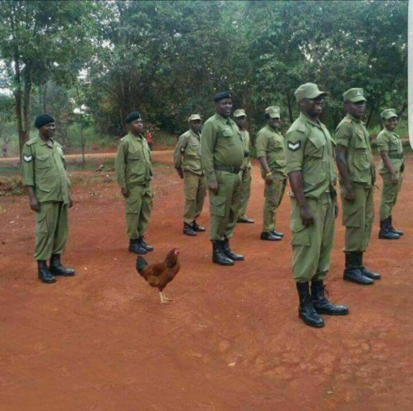 daily picdump 102 pics 3.html - 102 HD Photos | Premium Gallery 2018