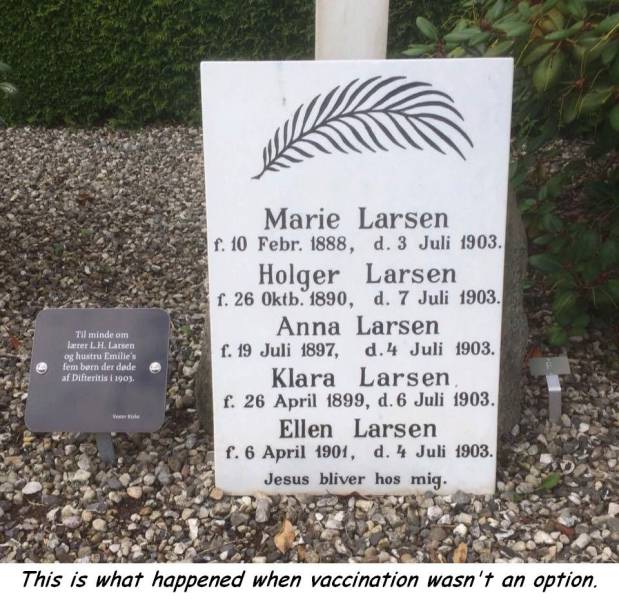 daily picdump 102 pics 3.html - 102 HD Photos | Premium Gallery 2018