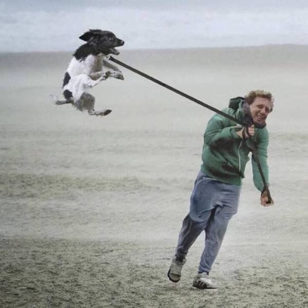 daily picdump 102 pics 3.html - 102 HD Photos | Premium Gallery 2018