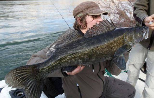 daily picdump 102 pics 3.html - 102 HD Photos | Premium Gallery 2018