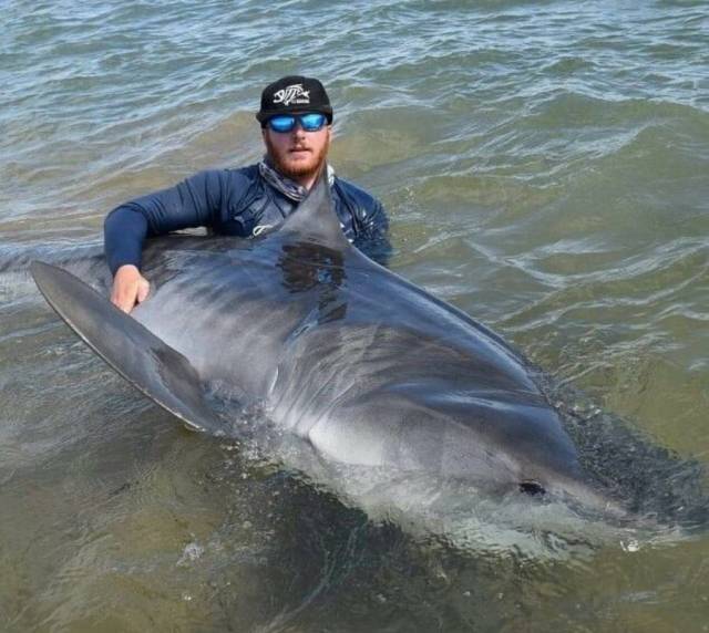 daily picdump 102 pics 3.html - 102 HD Photos | Premium Gallery 2018