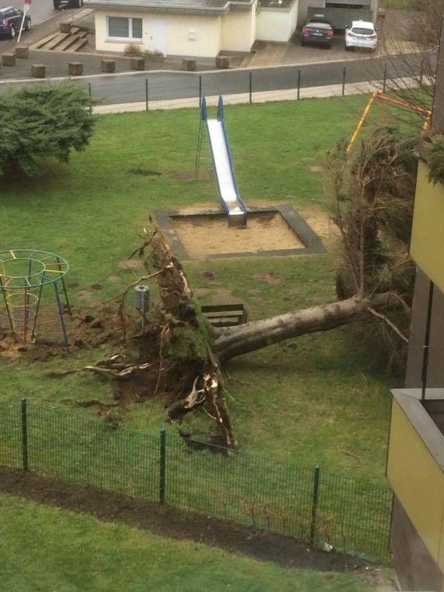 daily picdump 102 pics 3.html - 102 HD Photos | Premium Gallery 2018