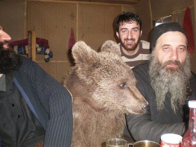 daily picdump 96 pics 6.html - 96 HD Photos | Premium Gallery 2018