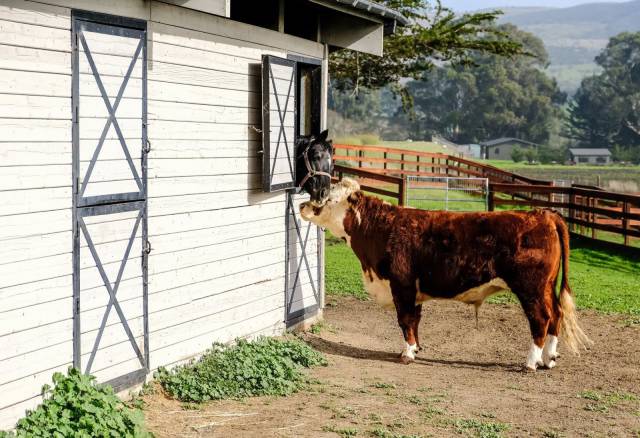 daily picdump 96 pics 6.html - 96 HD Photos | Premium Gallery 2018