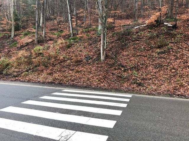 daily picdump 96 pics 6.html - 96 HD Photos | Premium Gallery 2018