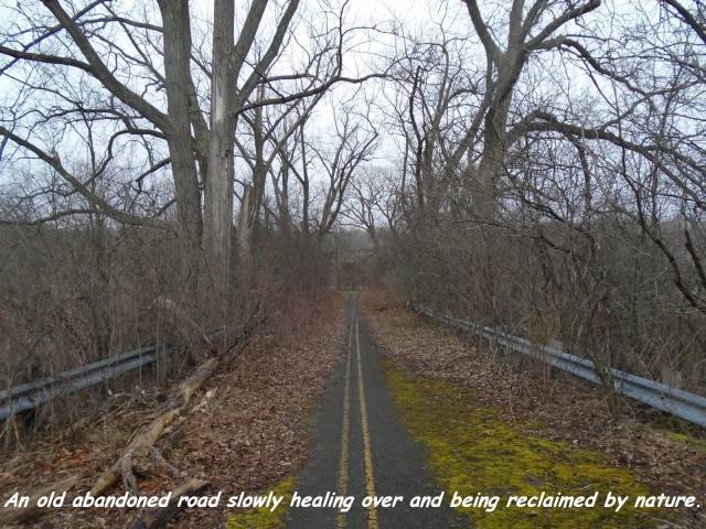 daily picdump 96 pics 6.html - 96 HD Photos | Premium Gallery 2018