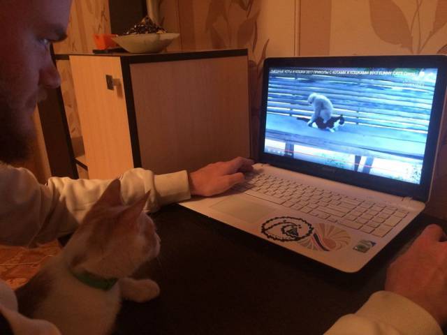 daily picdump 96 pics 6.html - 96 HD Photos | Premium Gallery 2018