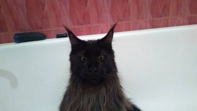 daily picdump 96 pics 6.html - 96 HD Photos | Premium Gallery 2018