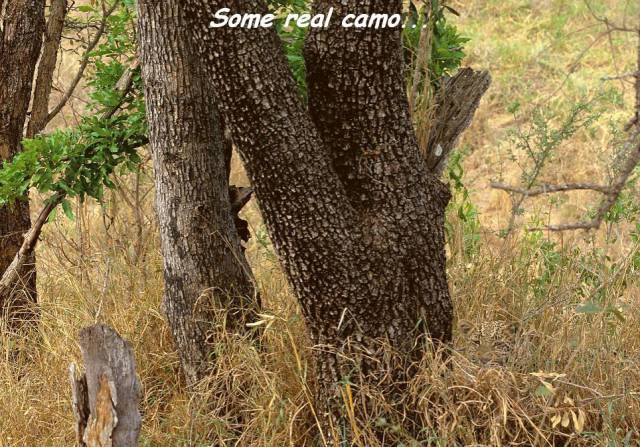 daily picdump 96 pics 6.html - 96 HD Photos | Premium Gallery 2018