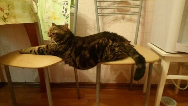 daily picdump 96 pics 6.html - 96 HD Photos | Premium Gallery 2018