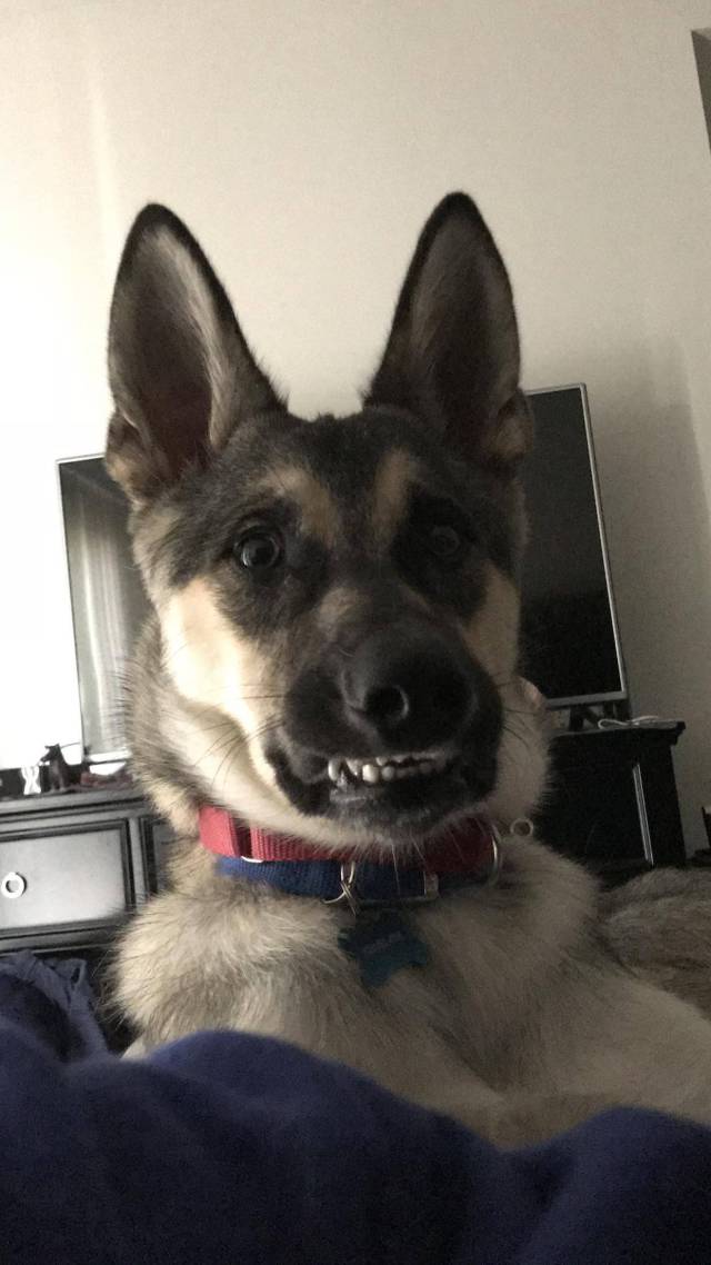 daily picdump 96 pics 6.html - 96 HD Photos | Premium Gallery 2018