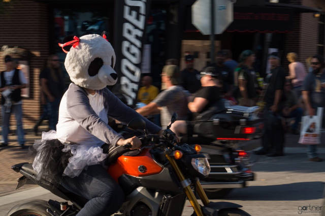 morning picdump 50 pics 2.html - 50 HD Photos | Premium Gallery 2018