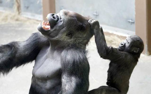 daily picdump 94 pics 2.html - 94 HD Photos | Premium Gallery 2018