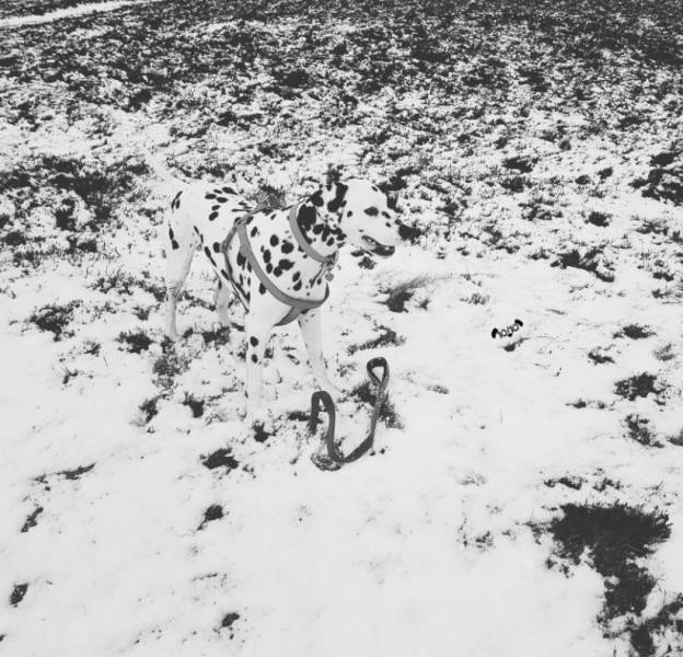 daily picdump 94 pics 2.html - 94 HD Photos | Premium Gallery 2018