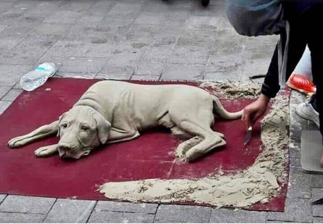 daily picdump 94 pics 2.html - 94 HD Photos | Premium Gallery 2018