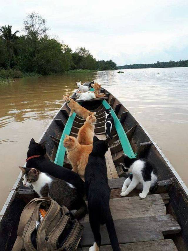 daily picdump 94 pics 2.html - 94 HD Photos | Premium Gallery 2018