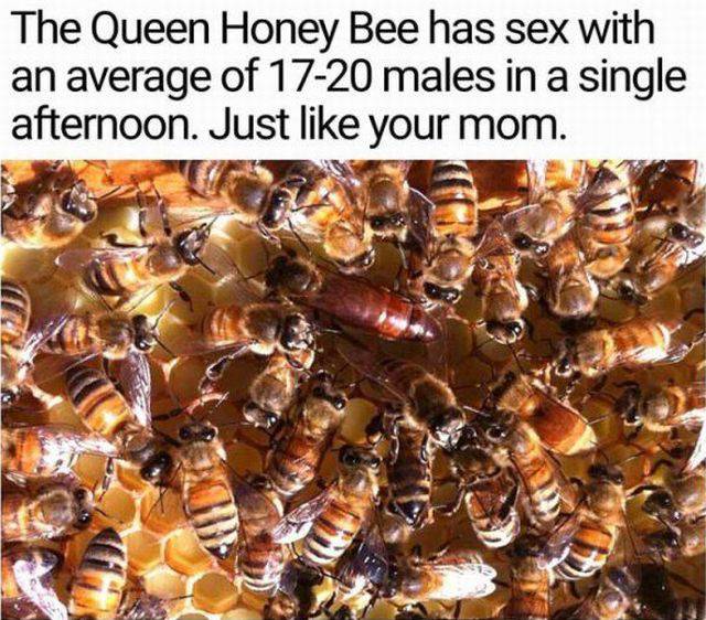 Dirty Mind, Come Here!