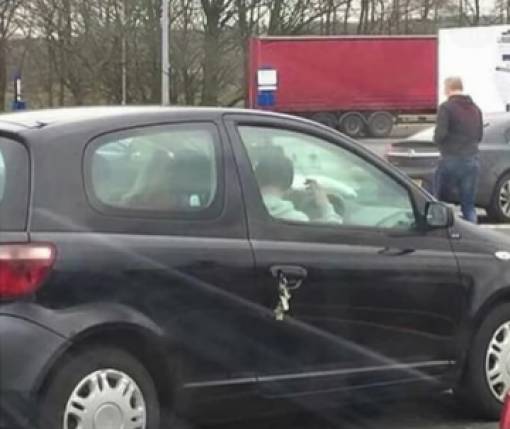 morning picdump 52 pics 52.html - 52 HD Photos | Premium Gallery 2018