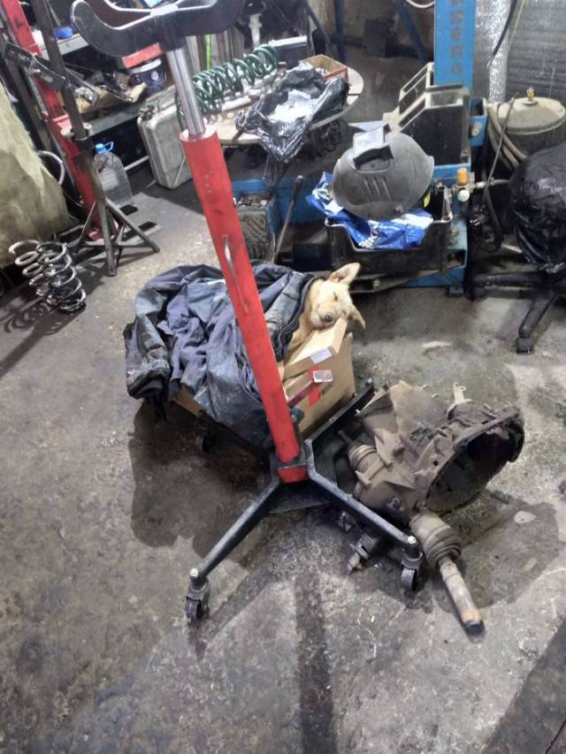 morning picdump 52 pics 52.html - 52 HD Photos | Premium Gallery 2018