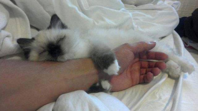 daily picdump 91 pics 3.html - 91 HD Photos | Premium Gallery 2018