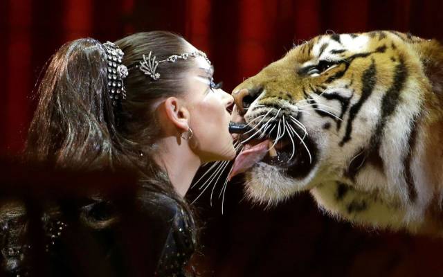 daily picdump 91 pics 3.html - 91 HD Photos | Premium Gallery 2018