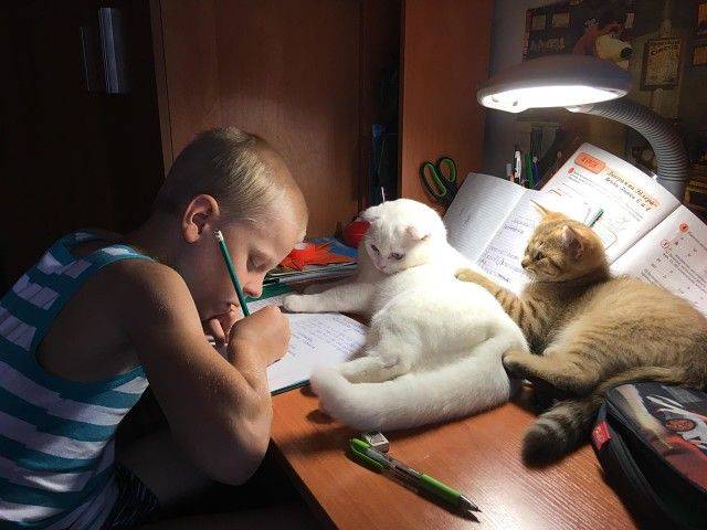 daily picdump 91 pics 3.html - 91 HD Photos | Premium Gallery 2018