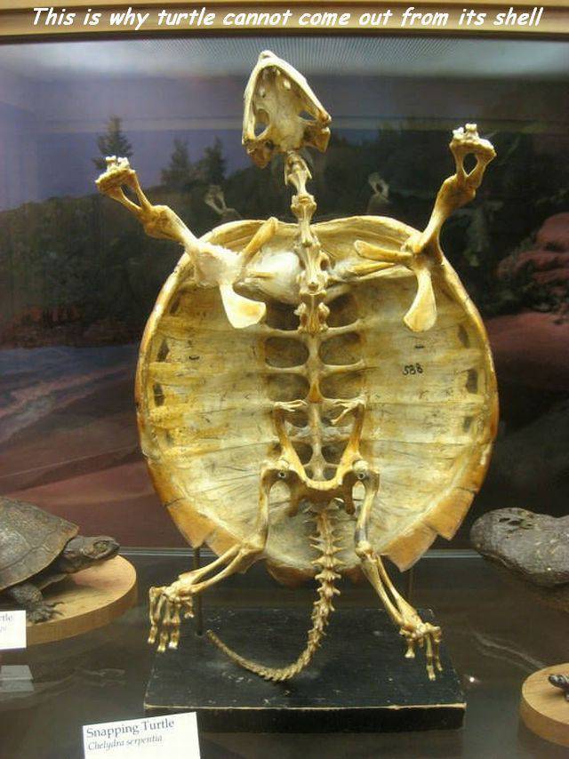 daily picdump 91 pics 3.html - 91 HD Photos | Premium Gallery 2018